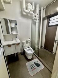 Blk 250A Compassvale Haven (Sengkang), HDB Executive #618684861